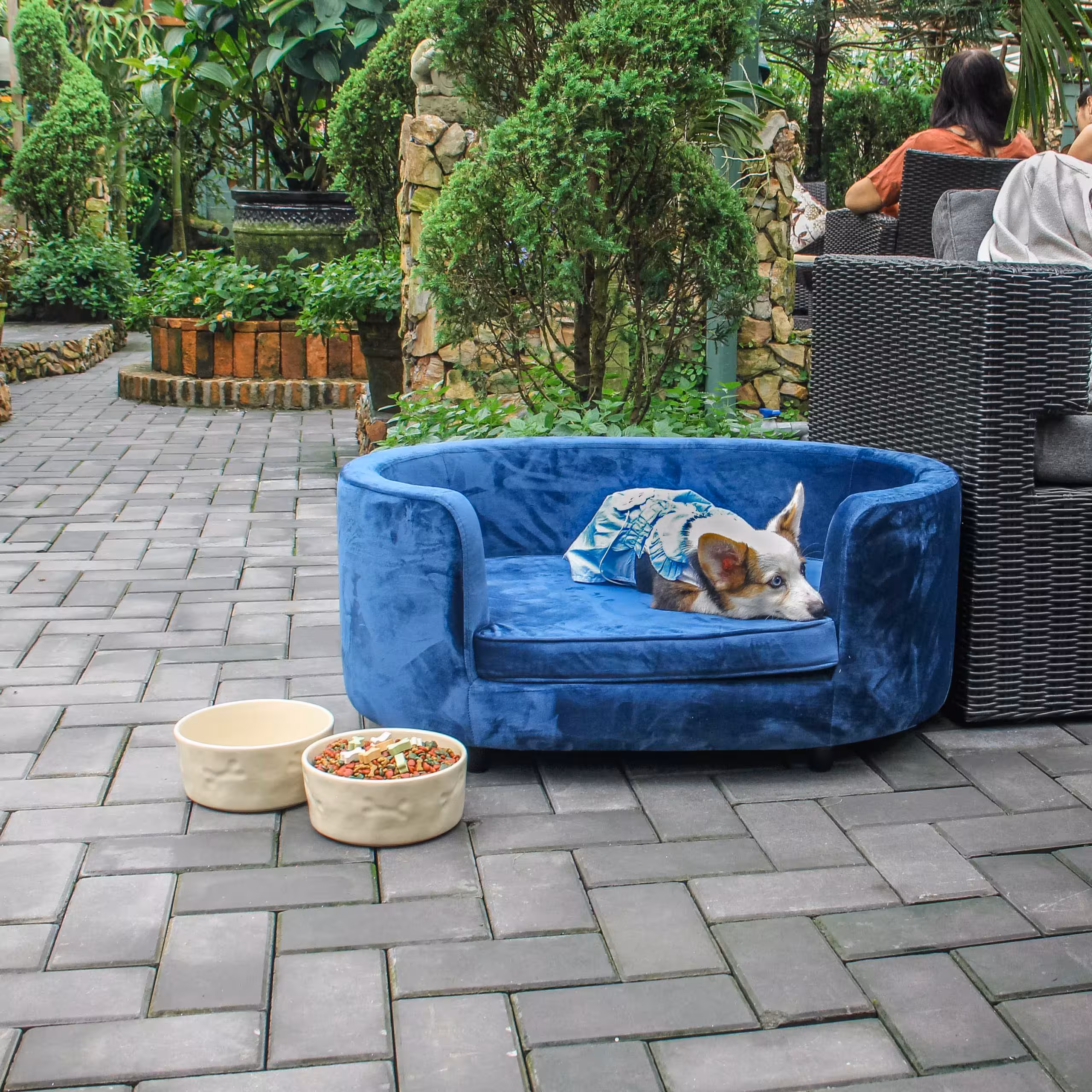 Buddy Oval Sofa Pet 25 Buddy Oval Sofa Pet