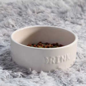 Chén Ăn Thú Cưng Husky - Drink