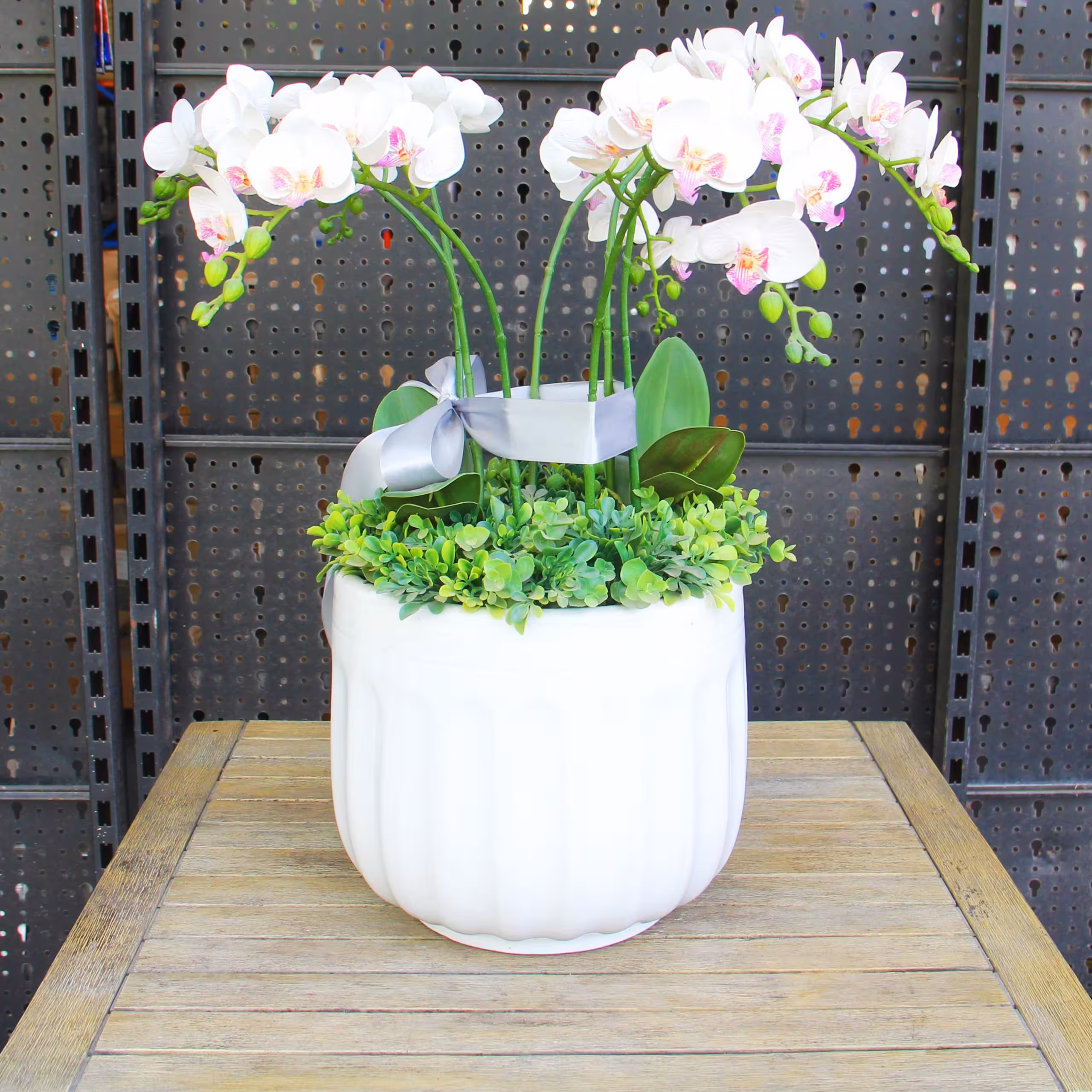 Chậu gốm trồng cây Moongo 3 Chậu gốm trồng cây Moongo
