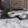 Chén ăn Thú Cưng Puppy