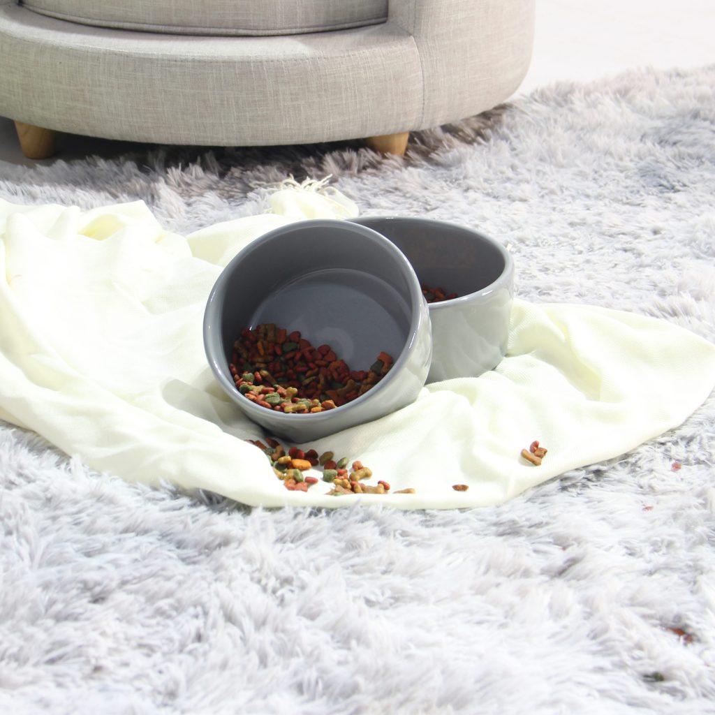 Chén ăn Thú Cưng Puppy