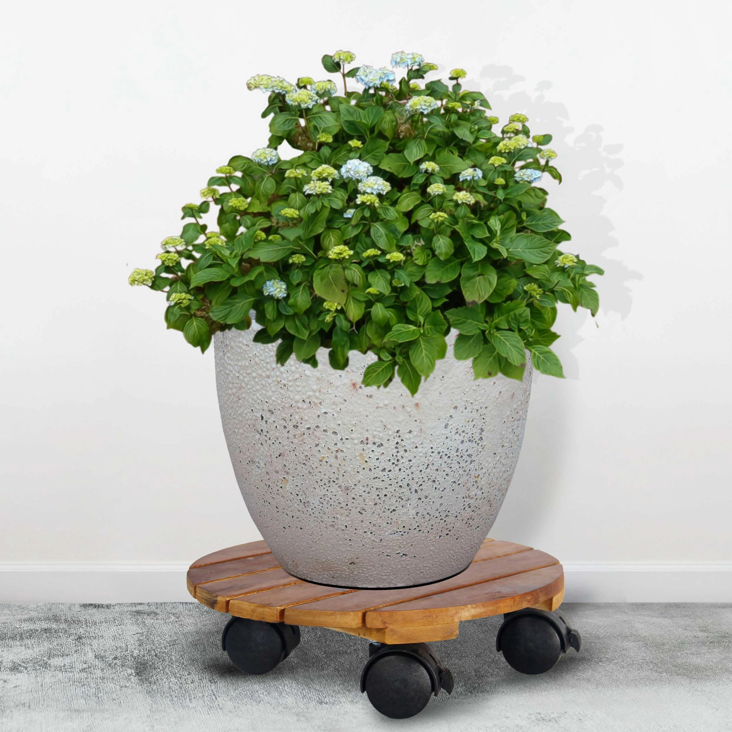 Đế lót chậu cây là sản phẩm thiết yếu giúp bảo vệ sàn nhà khỏi trầy xước và giữ chậu cây luôn sạch sẽ, gọn gàng cũng như tiết kiệm sức lực và an toàn mỗi khi bạn cần di chuyển chậu cây. Tại đây, bạn sẽ tìm thấy đa dạng mẫu mã, từ đế lót chậu cây đơn giản đến đế lót chậu cây có bánh xe tiện lợi, dễ dàng di chuyển. Sản phẩm được làm từ chất liệu bền bỉ, chịu lực tốt lên đến 80kg, phù hợp với nhiều kích thước và kiểu dáng chậu cây. Khám phá ngay để lựa chọn giải pháp tối ưu cho không gian xanh của bạn!