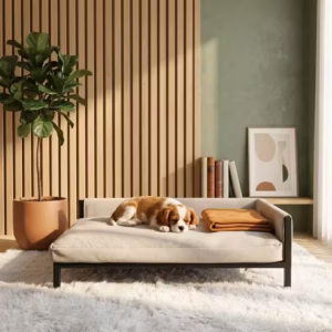 Giường Sofa Hình Chữ Nhật Cho Chó Mèo – Vải Teddy Trắng Kem