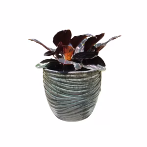 Chậu Gốm Mini Minard