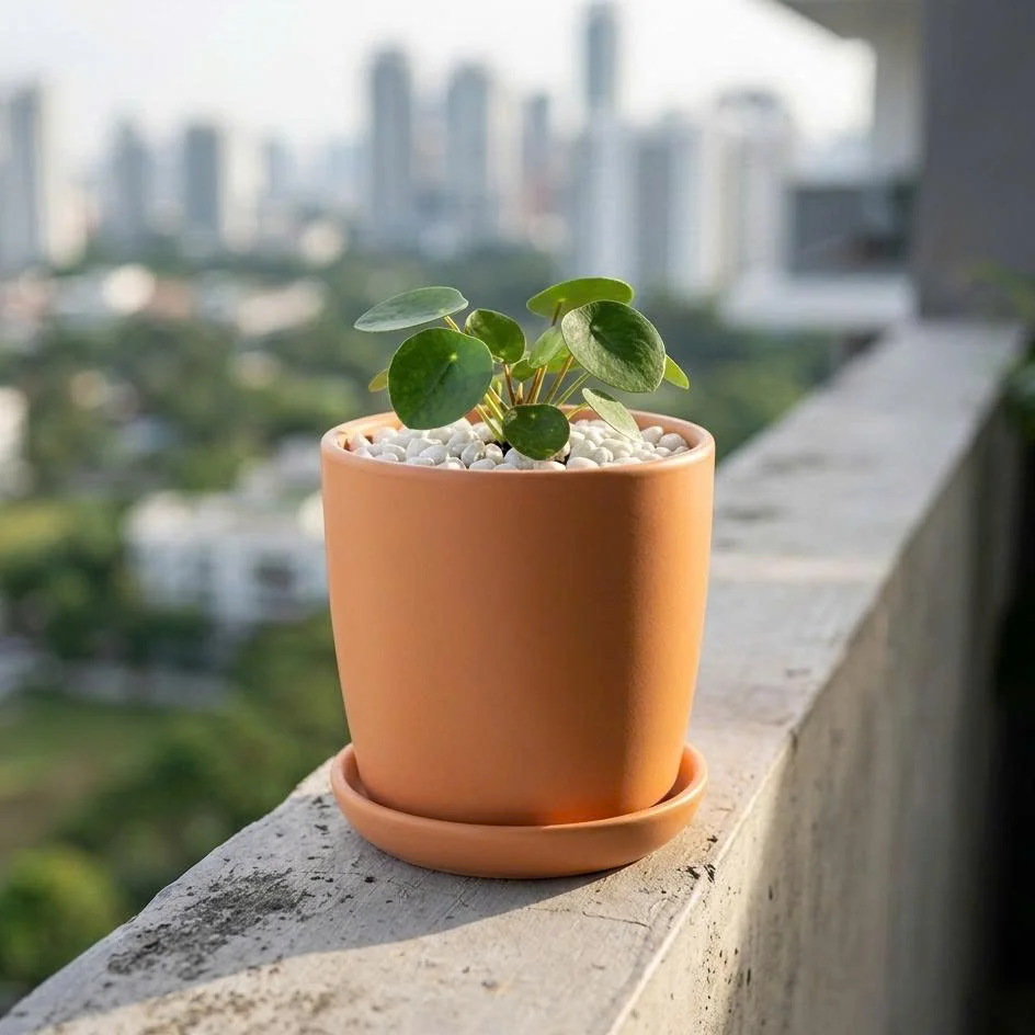 Chậu Gốm Mini Isabelle