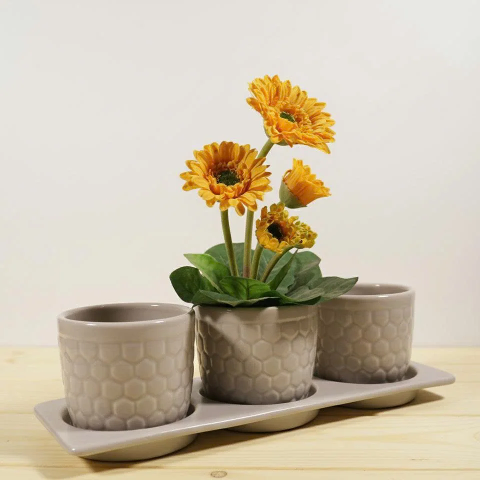 Chậu Gốm Mini Gerbera xọc Kèm Dĩa - Xám Nhạt(Set of 3)