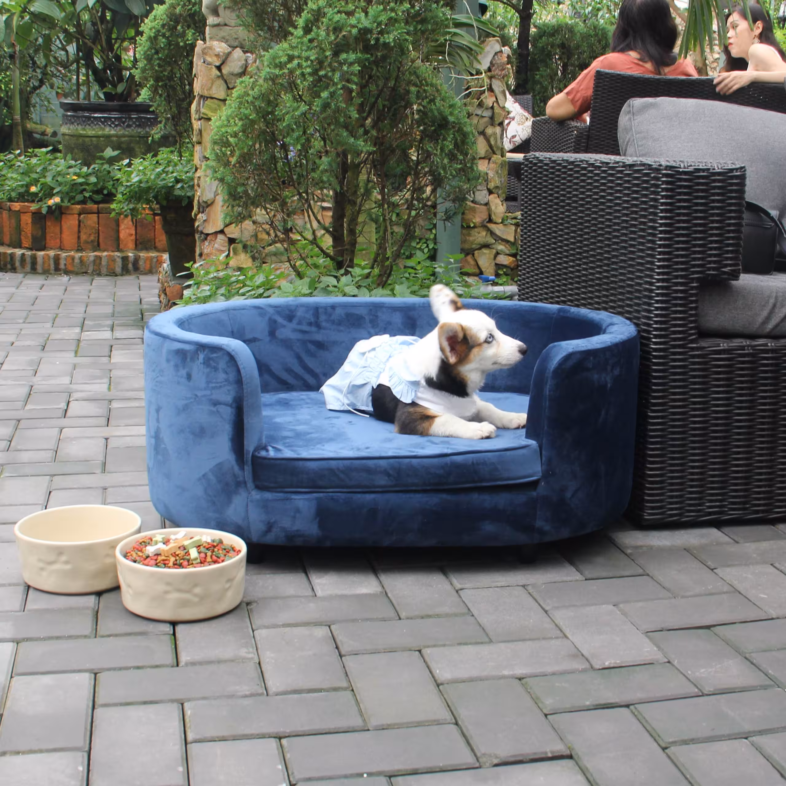 Buddy Oval Sofa Pet 8 Buddy Oval Sofa Pet - Ảnh 8