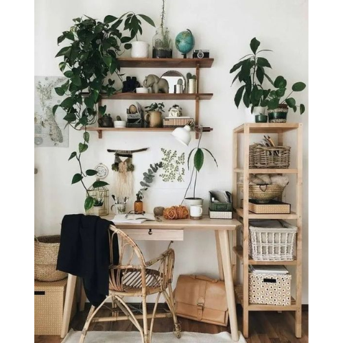Hướng Dẫn Decor Không Gian Làm Việc Theo Phong Cách Tropical