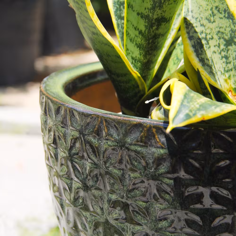 Xưởng Sản Xuất Chậu Gốm Sứ Cổ Điển Made4Home Tại Bình Dương 11 Xưởng Sản Xuất Chậu Gốm Sứ Cổ Điển