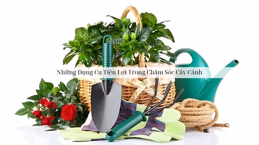 Những Dụng Cụ Tiện Lợi Trong Chăm Sóc Cây Cảnh 8 Những Dụng Cụ Tiện Lợi Trong Chăm Sóc Cây Cảnh