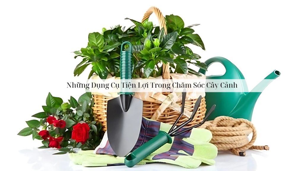 Những Dụng Cụ Tiện Lợi Trong Chăm Sóc Cây Cảnh