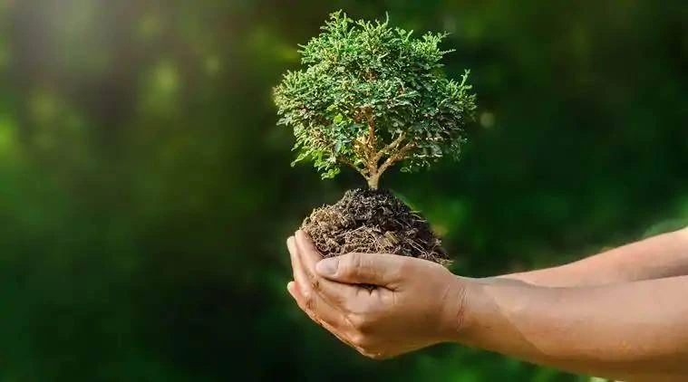 Tầm quan trọng của sống xanh trong đời sống