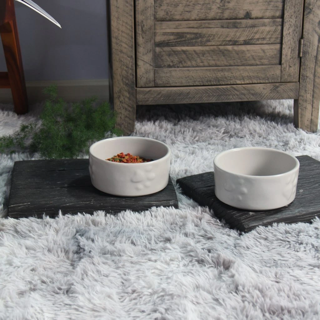 Chén Ăn Thú Cưng: Top Mẫu Bền Đẹp, An Toàn Và Tiện Lợi
