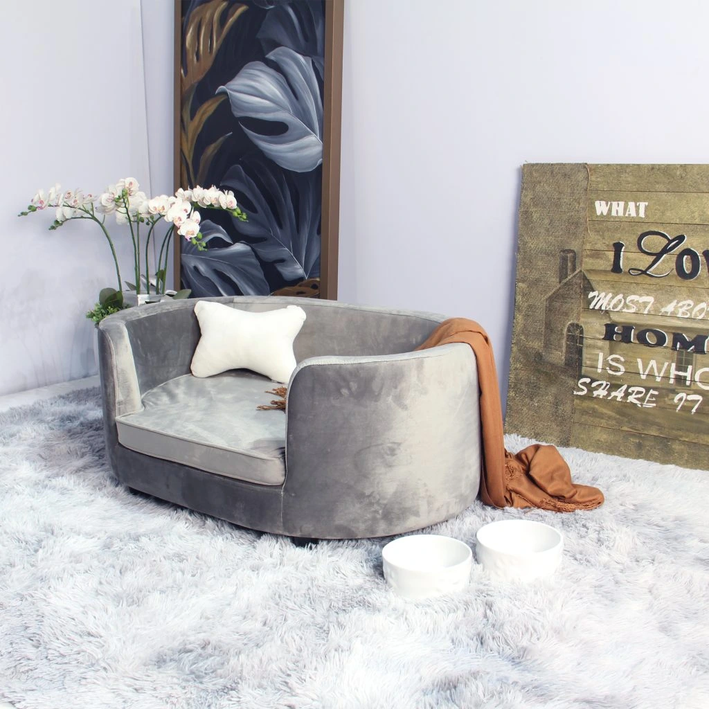 Sofa Thú Cưng Hiện Đại – Tiện Nghi, Dễ Vệ Sinh Cho Gia Đình Nuôi Thú