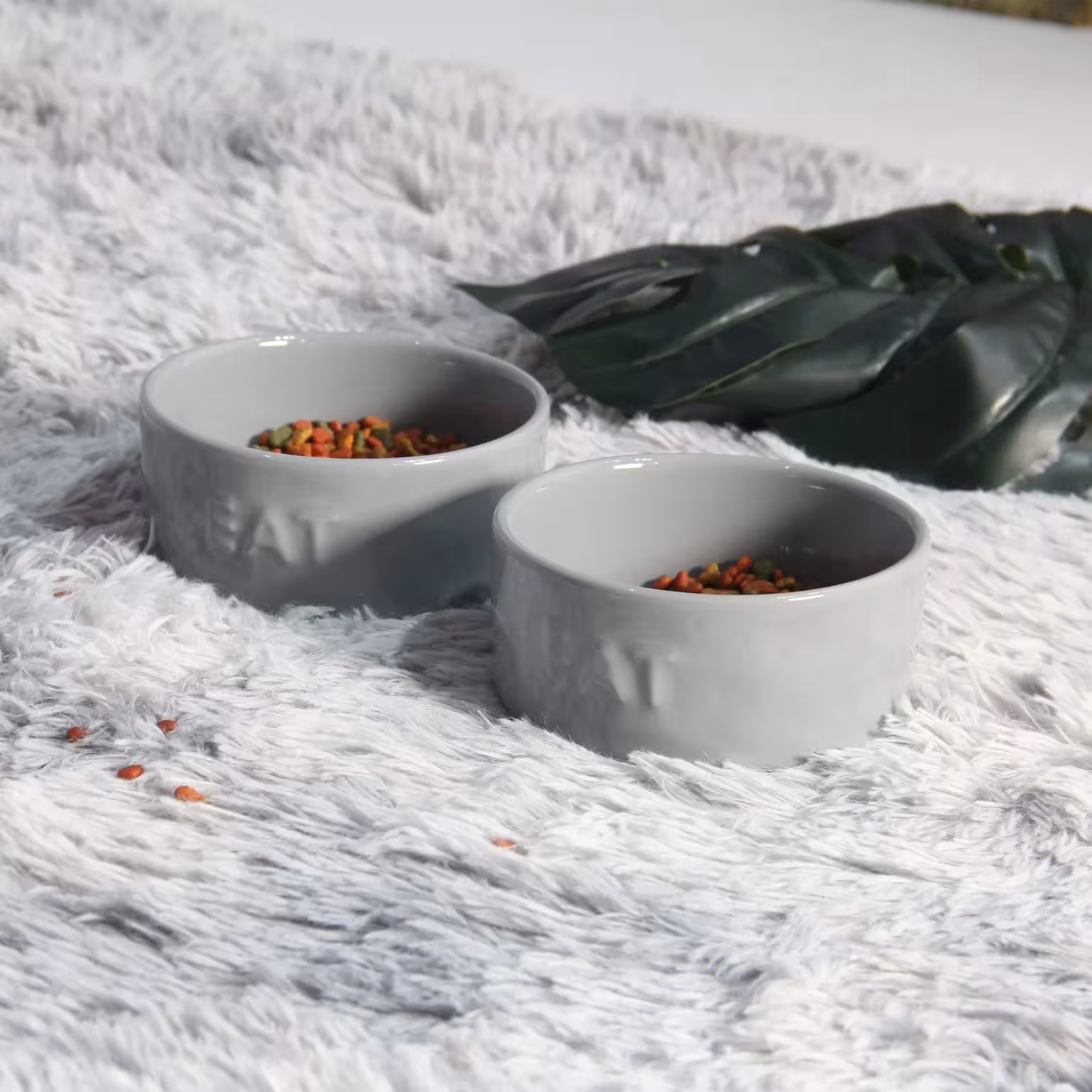 Cách Chọn Chén Ăn Thú Cưng Phù Hợp Với Từng Giống Chó Mèo 5 Cách Chọn Chén Ăn Thú Cưng Phù Hợp Với Từng Giống Chó Mèo