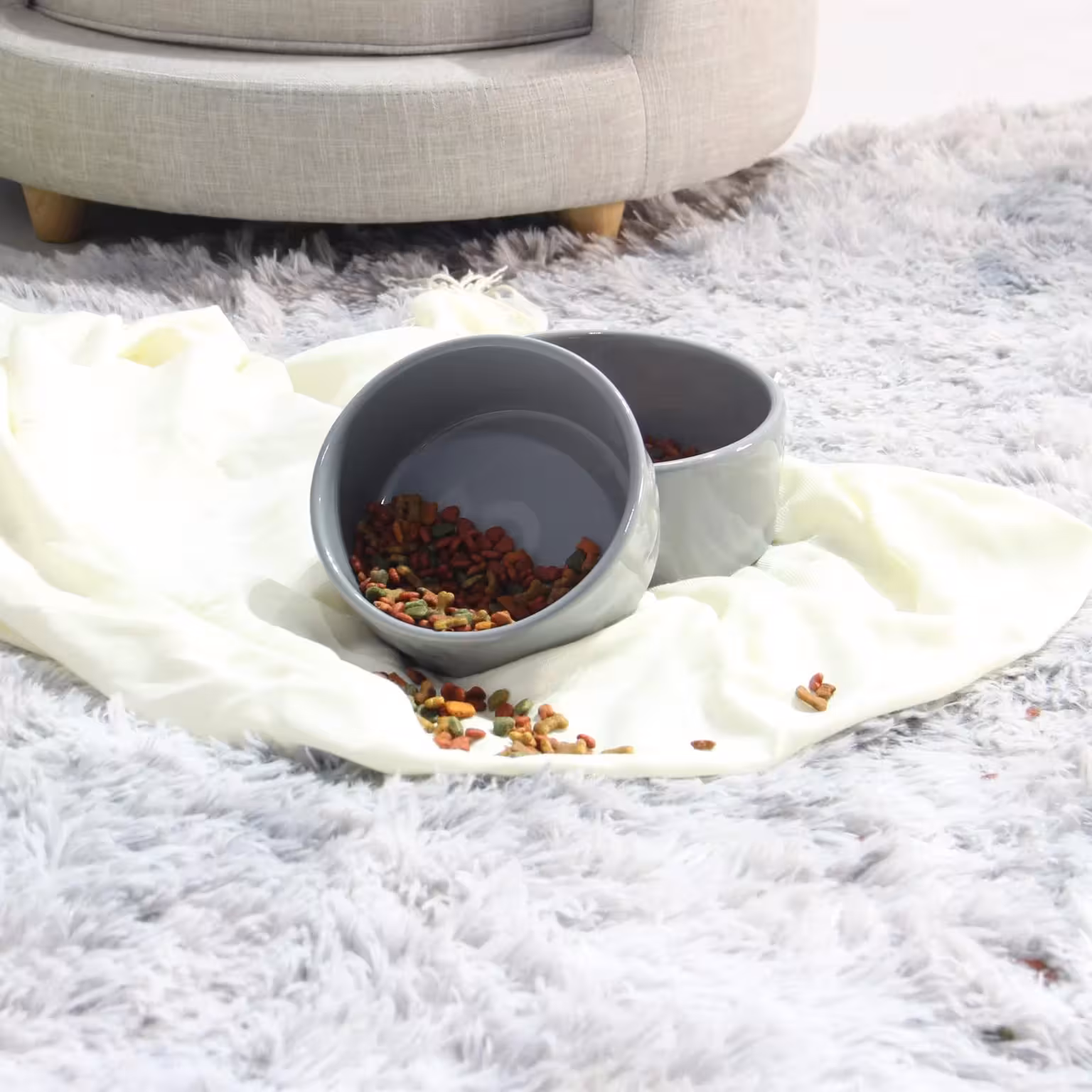 Cách Chọn Chén Ăn Thú Cưng Phù Hợp Với Từng Giống Chó Mèo
