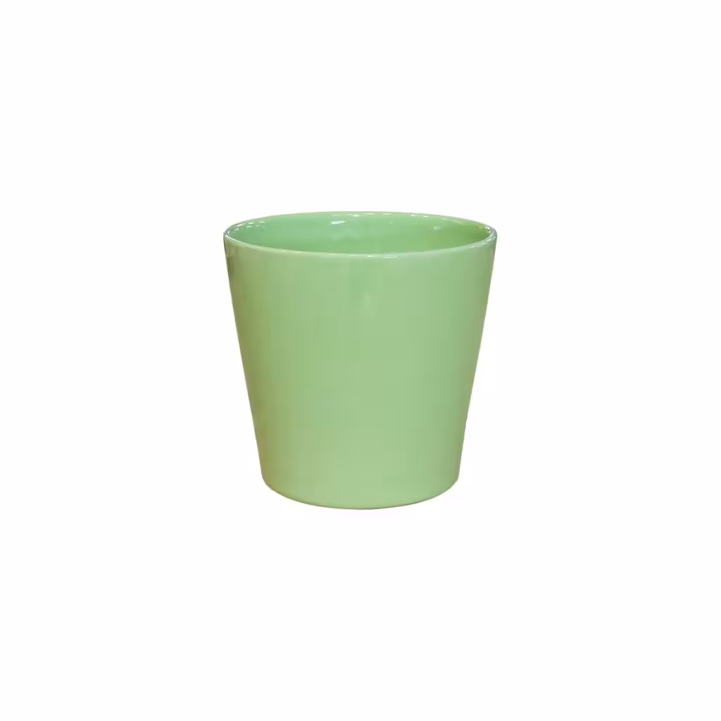 Bí Quyết Chọn Chậu Cây Cảnh Trong Nhà Đẹp, Phù Hợp Bí Quyết Chọn Chậu Cây Cảnh Trong Nhà Đẹp, Phù Hợp