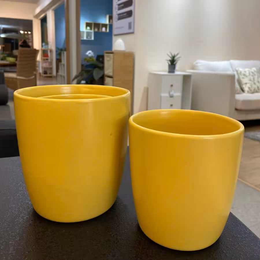 Bí Quyết Chọn Chậu Cây Cảnh Trong Nhà Đẹp, Phù Hợp 8 Chậu Cây Trang Trí Trong Nhà: Bí Quyết Tạo Không Gian Xanh