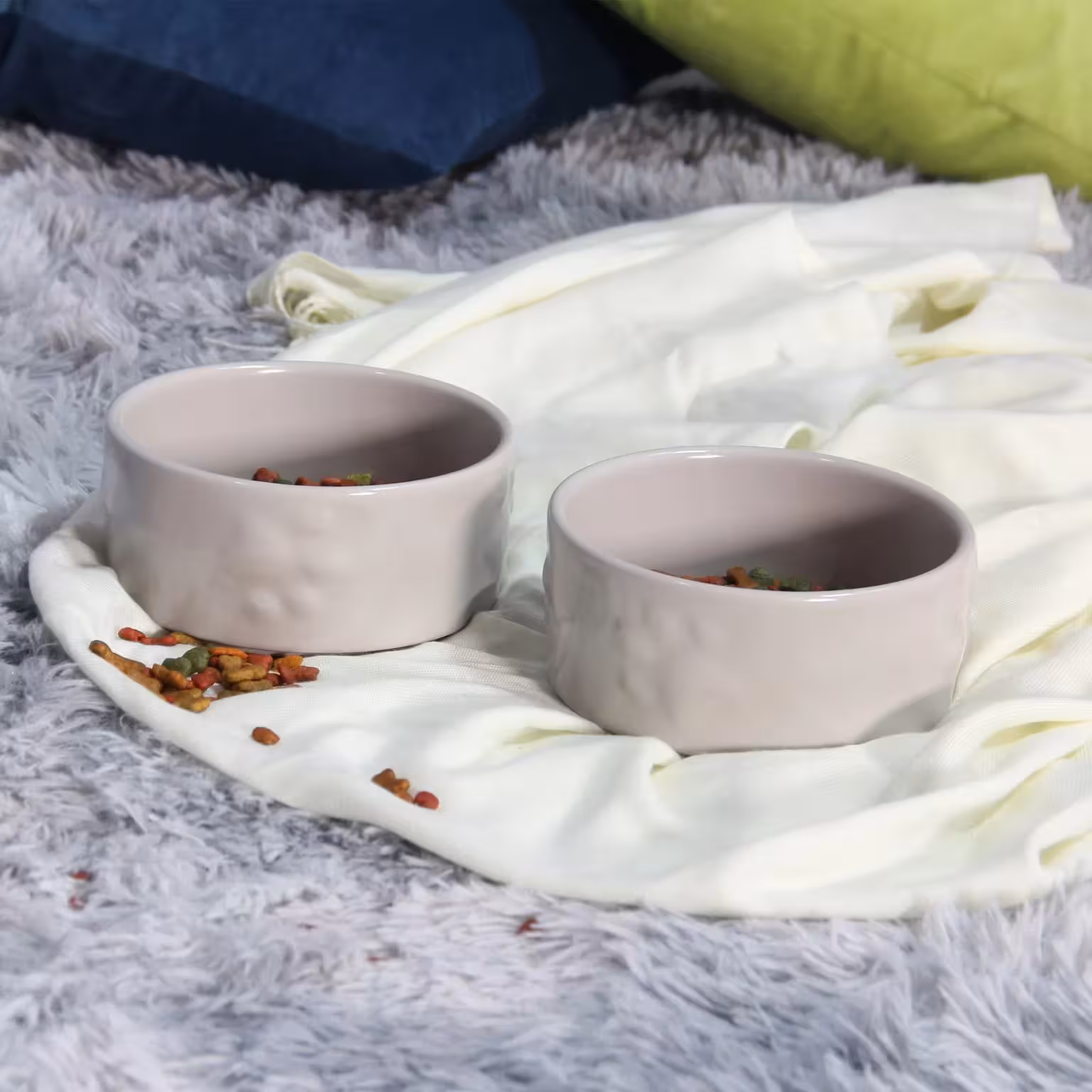 Xu Hướng Vật Dụng Cho Thú Cưng Được Ưa Chuộng Hiện Nay