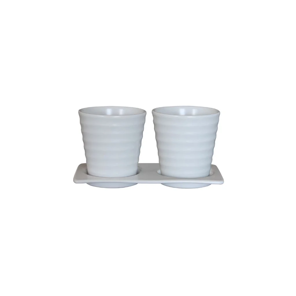 Chậu Cây Decor Trong Nhà: Điểm Nhấn Xanh Cho Không Gian Sống Hiện Đại