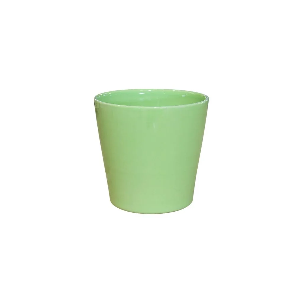 Vì Sao Chậu Cây Cảnh Trong Nhà Được Nhiều Gia Đình Ưa Chuộng? 2 Vì Sao Chậu Cây Cảnh Trong Nhà Được Nhiều Gia Đình Ưa Chuộng?