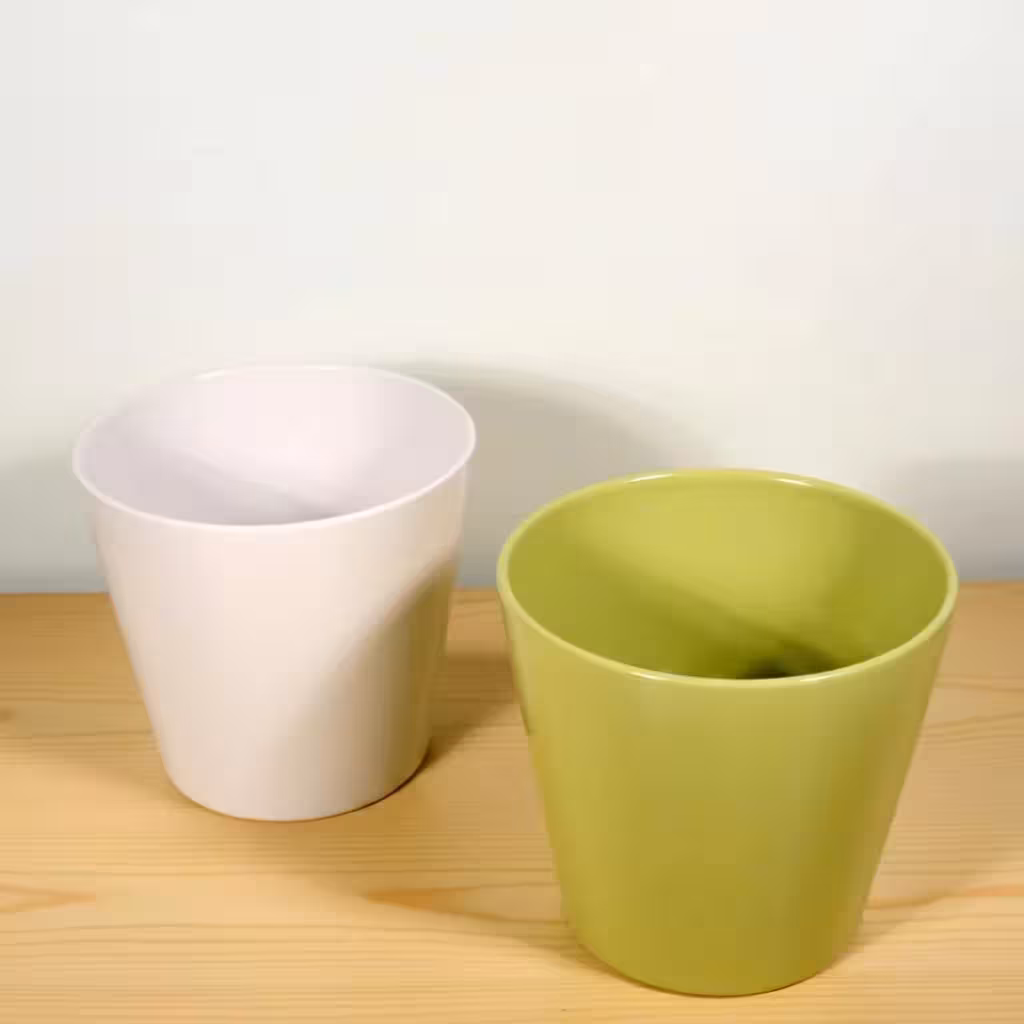 Chậu Cây Decor Trong Nhà: Điểm Nhấn Xanh Cho Không Gian Sống Hiện Đại