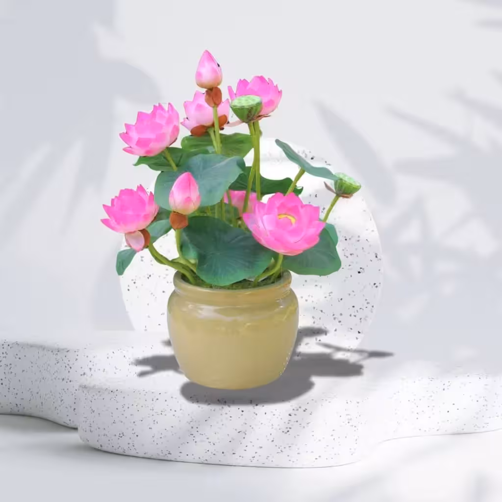 Gợi Ý Chậu Cây Cảnh Trong Nhà Đẹp Giúp Không Gian Thêm Sinh Động