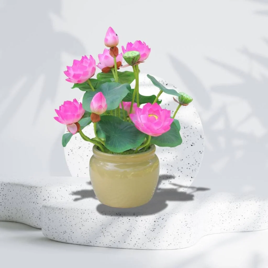 Gợi Ý Chậu Cây Cảnh Trong Nhà Đẹp Giúp Không Gian Thêm Sinh Động