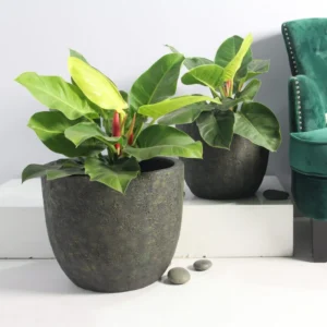 Egg Poly Planter (Set Of 2) – Green Grey