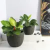 Egg Poly Planter (Set Of 2) – Green Grey