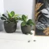 Egg Poly Planter (Set Of 2) – Green Grey