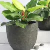 Egg Poly Planter (Set Of 2) – Green Grey