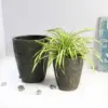 Milan Urn Poly Planter (Set Of 2) – Green Brown