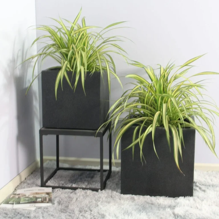 Chậu Cây Trang Trí Đẹp Giúp Không Gian Sống Thêm Sinh Động Và Hiện Đại
