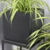 Rhine Square Poly Planter (Set Of 2) – Black