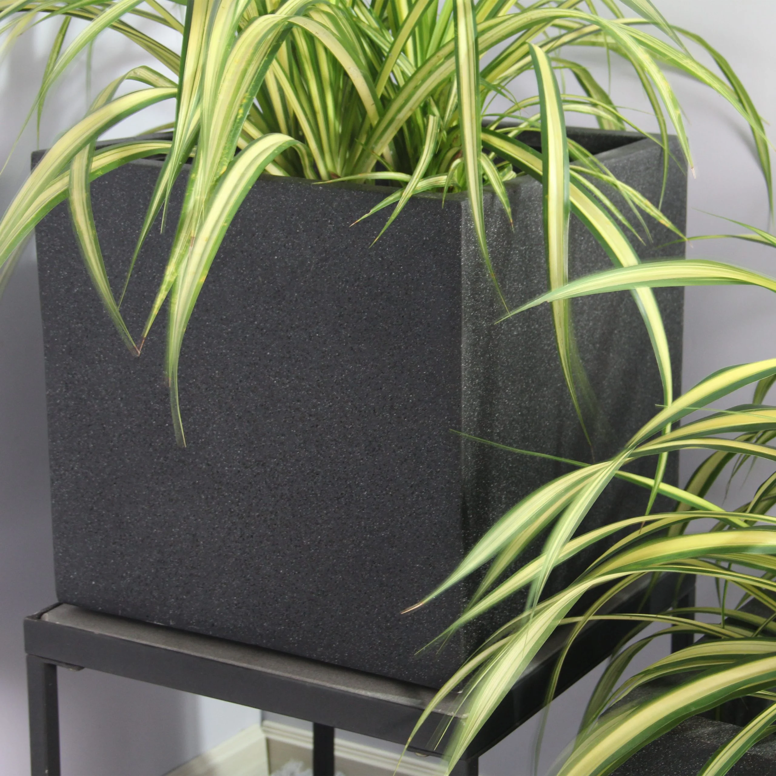 Rhine Square Poly Planter (Set Of 2) – Black