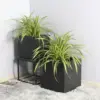 Rhine Square Poly Planter (Set Of 2) – Black