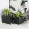 Rhine Square Poly Planter (Set Of 2) – Black