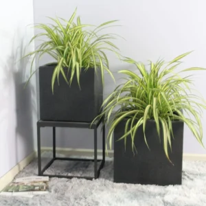 Rhine Square Poly Planter (Set Of 2) – Black